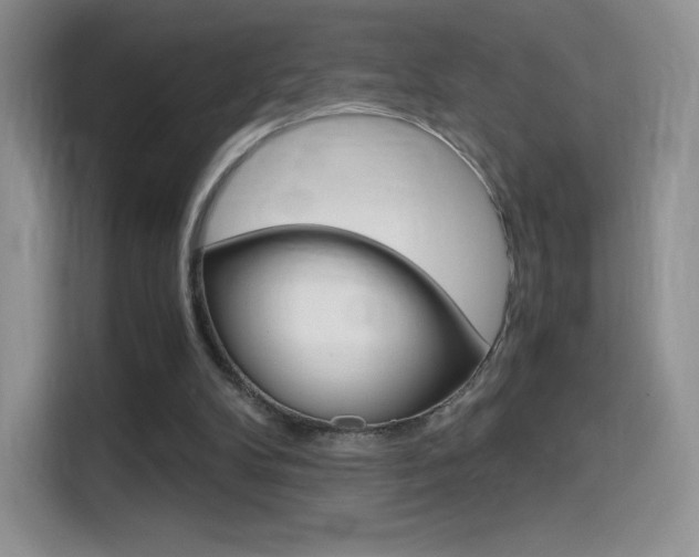 X0000114430104200910161040