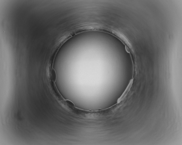 X0000114430105200910161040
