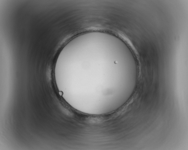 X0000114430106200910161040