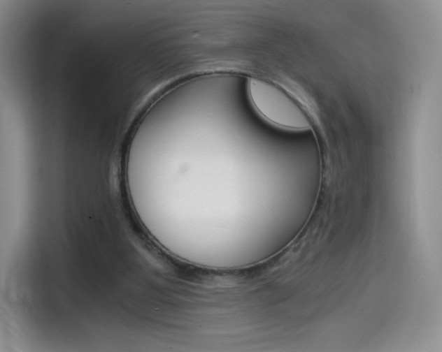 X0000114430107200910161040