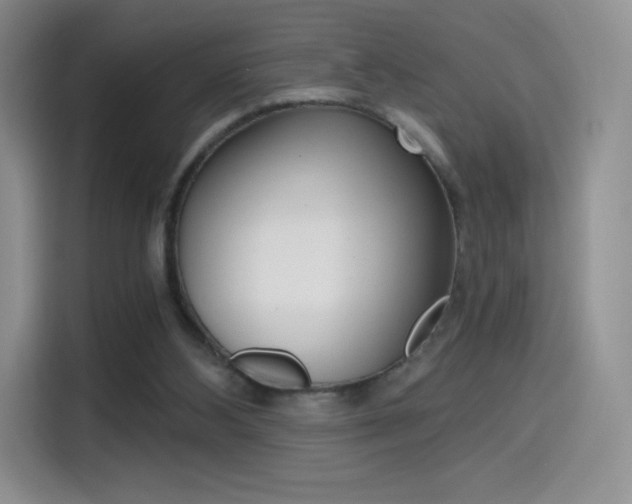 X0000114430108200910161040