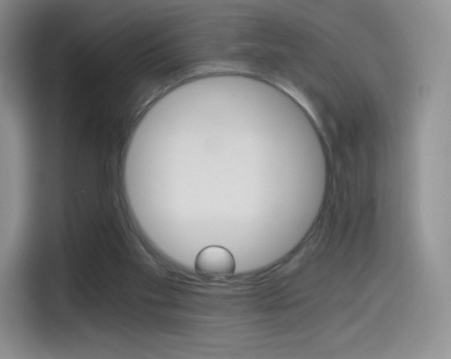 X0000114430109200910161040