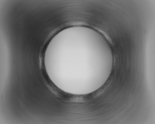 X0000114430110200910161040
