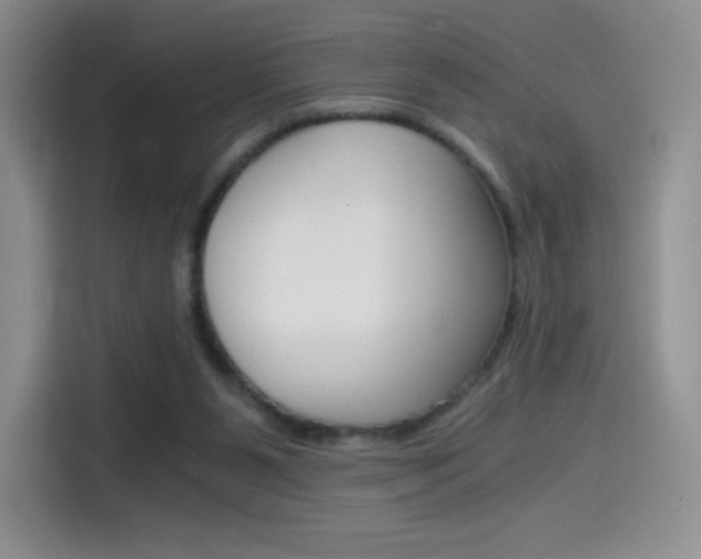 X0000114430111200910161040