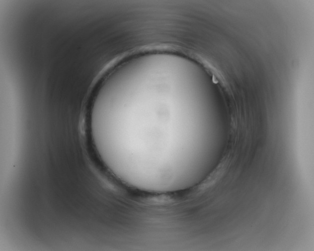 X0000114430112200910161040