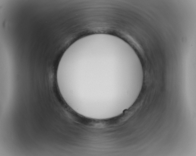 X0000114430113200910161040