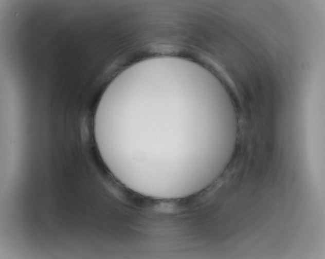 X0000114430114200910161040