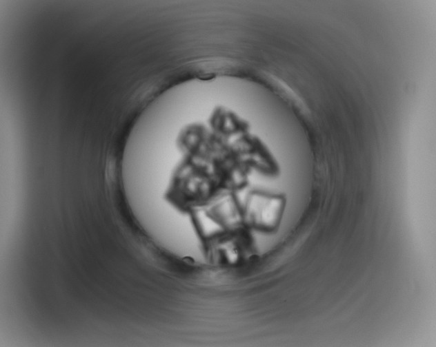X0000114430117200910161040