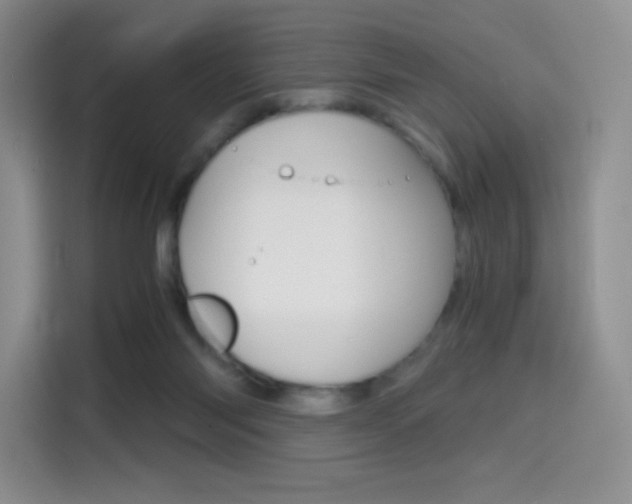 X0000114430118200910161040