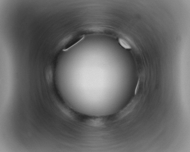 X0000114430120200910161040