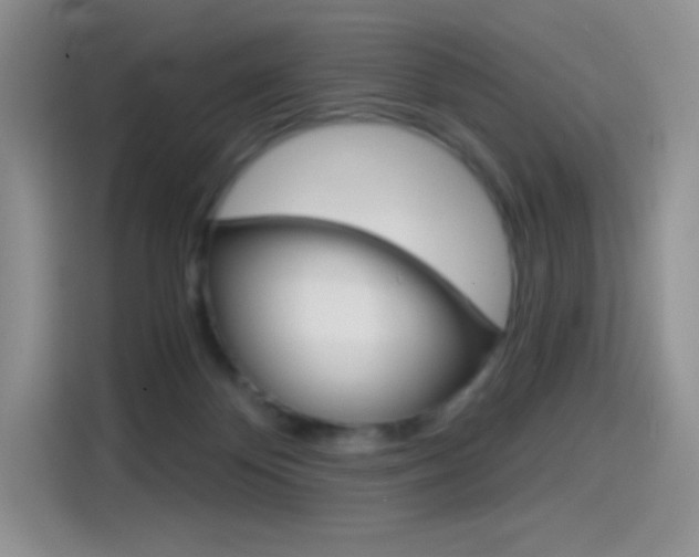 X0000114430124200910161040