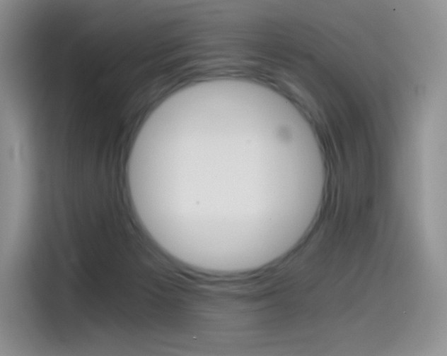 X0000114430125200910161040