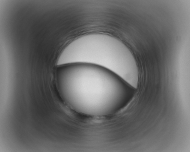 X0000114430128200910161040