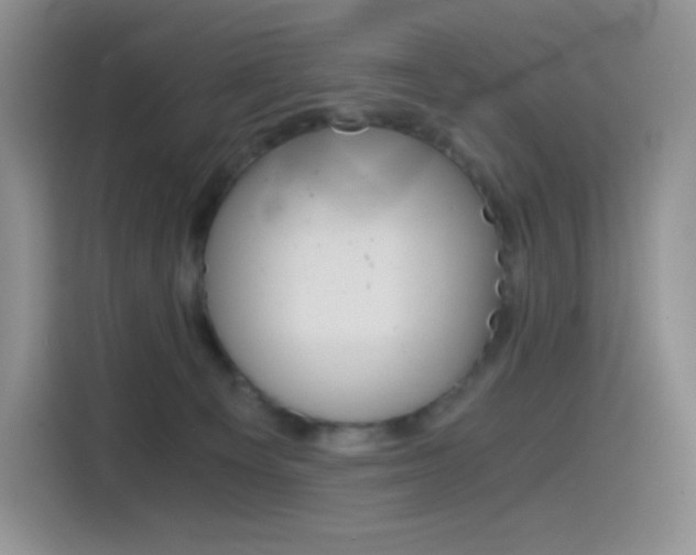 X0000114430129200910161040