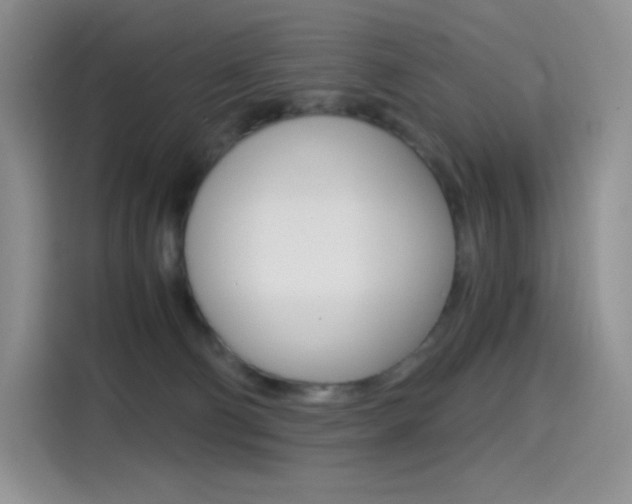 X0000114430130200910161039