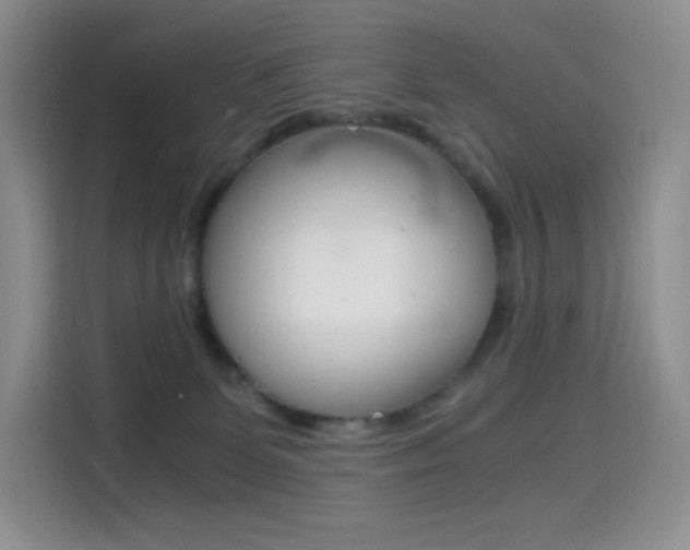 X0000114430131200910161039
