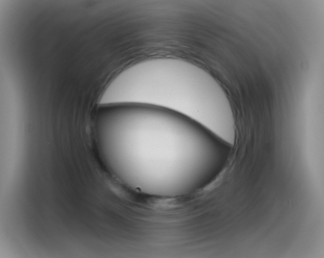 X0000114430132200910161039