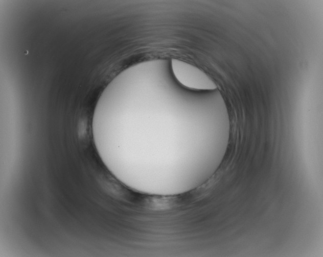 X0000114430134200910161039
