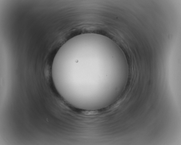 X0000114430135200910161039