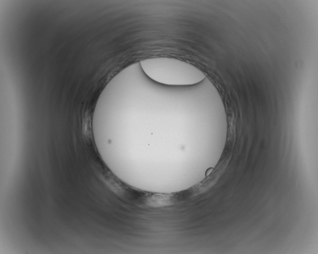 X0000114430138200910161039