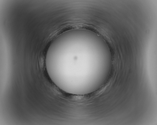 X0000114430139200910161039