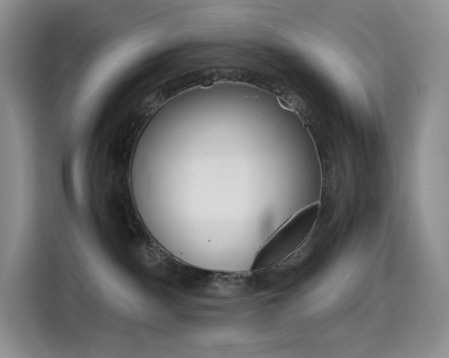 X0000114430140200910161039