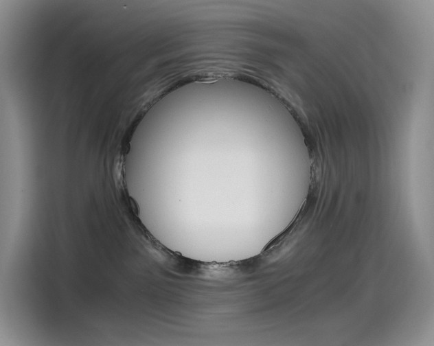 X0000114430141200910161039