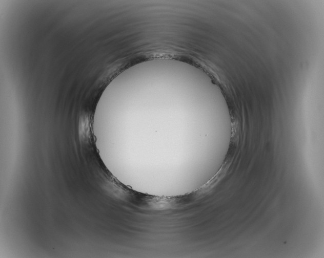 X0000114430142200910161039