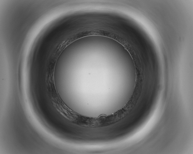 X0000114430143200910161039