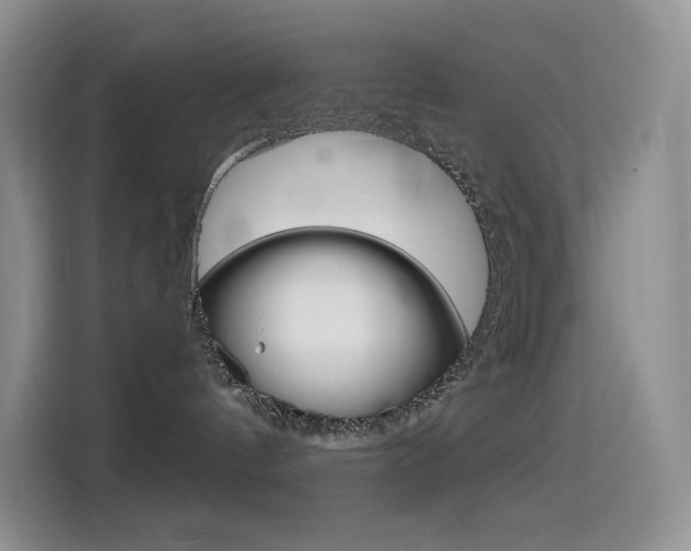 X0000114430144200910161039