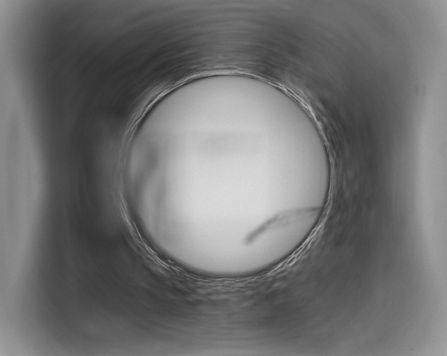 X0000114430145200910161039