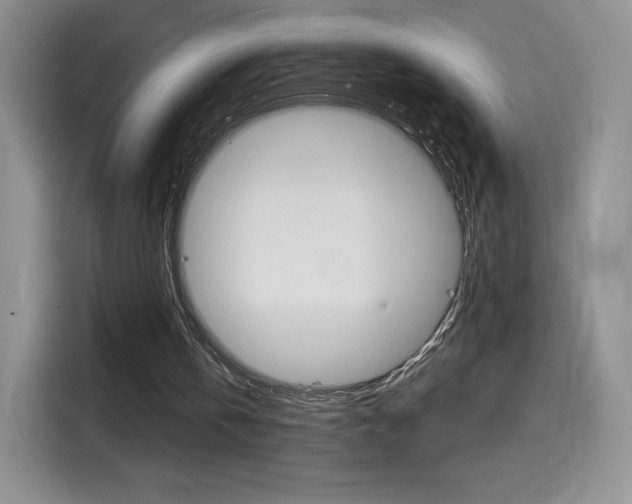 X0000114430146200910161039