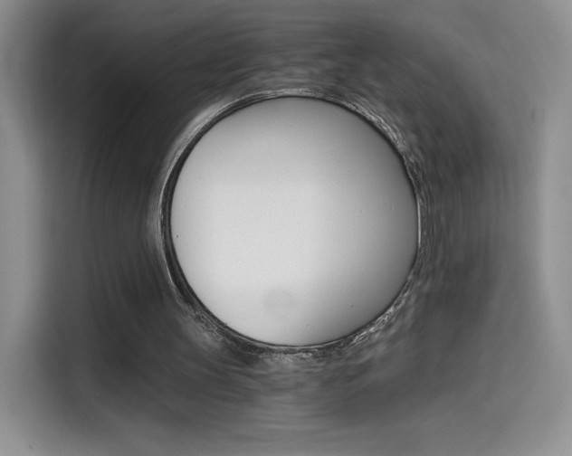 X0000114430147200910161039