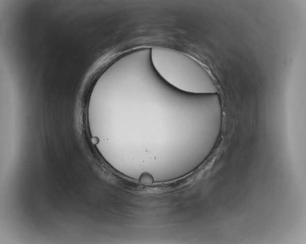 X0000114430149200910161039