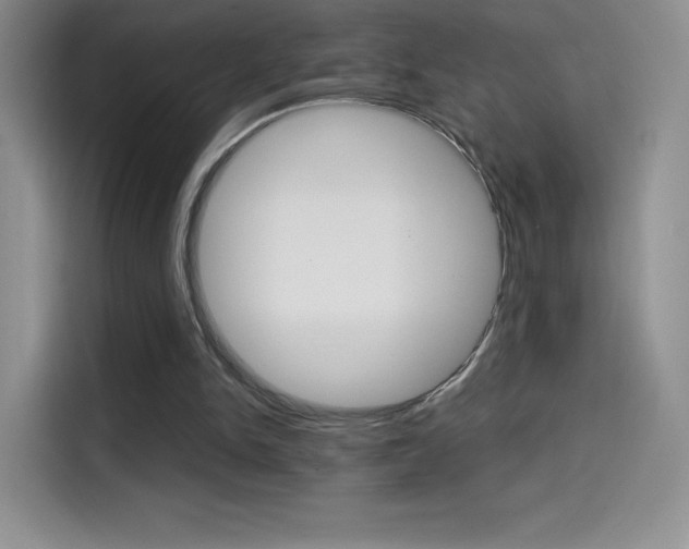 X0000114430150200910161039