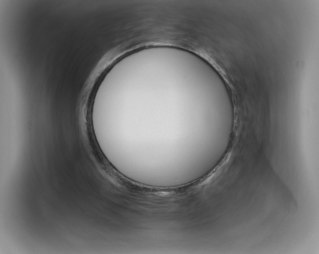 X0000114430151200910161039