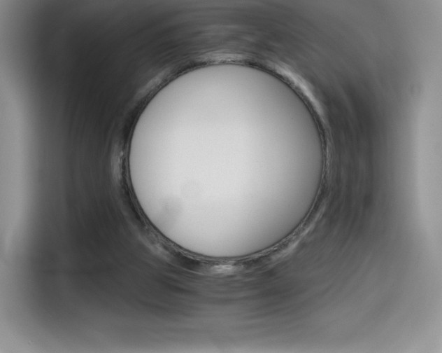 X0000114430153200910161039