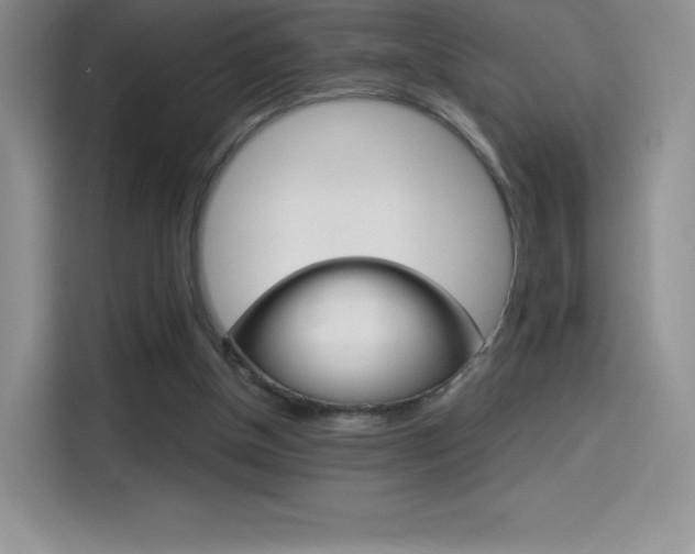 X0000114430154200910161039