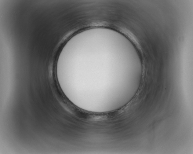 X0000114430155200910161039