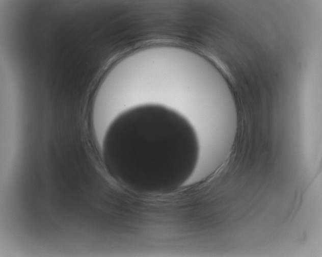 X0000114430159200910161039