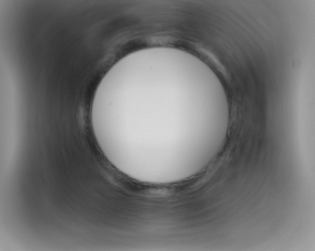 X0000114430161200910161039