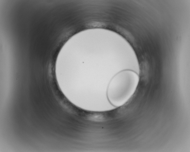 X0000114430162200910161039