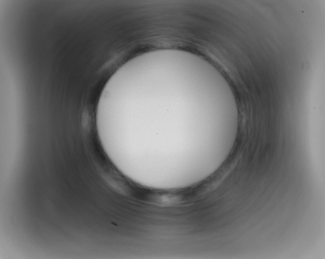 X0000114430165200910161039