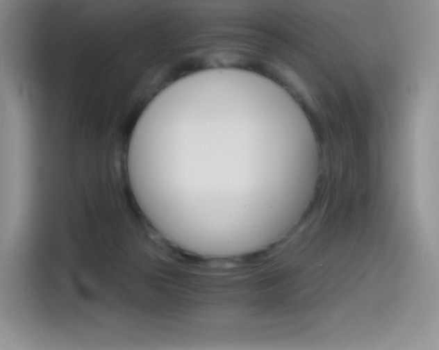 X0000114430169200910161039