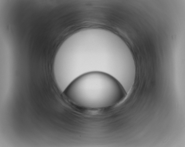 X0000114430170200910161039