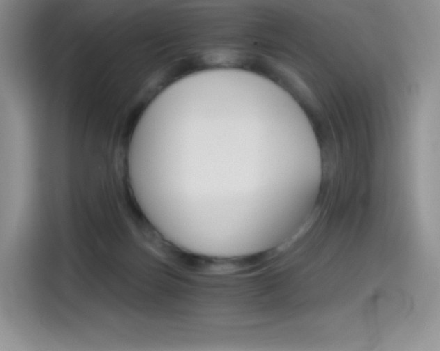 X0000114430171200910161039