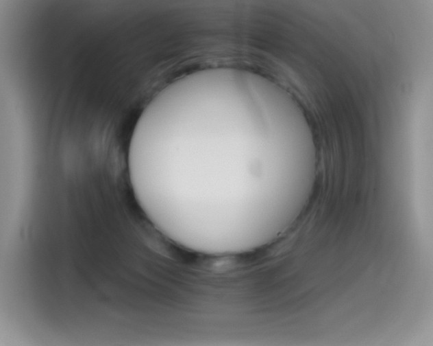X0000114430173200910161039