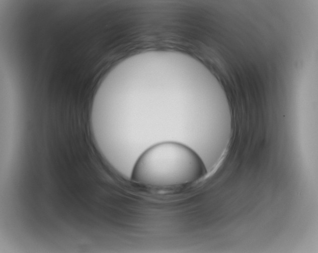 X0000114430174200910161039