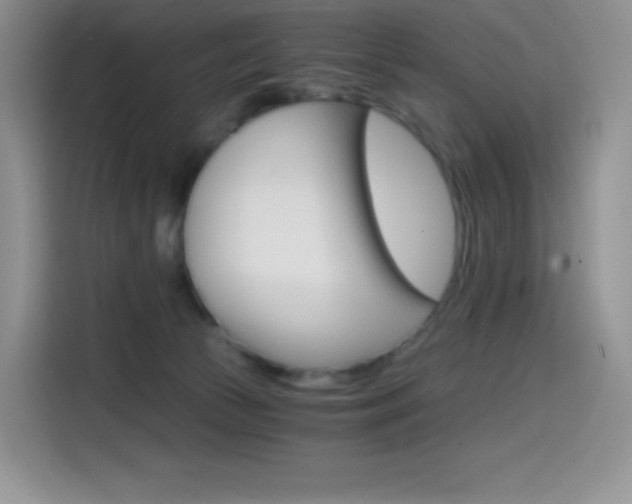 X0000114430177200910161039