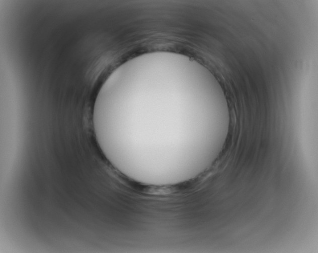 X0000114430181200910161039